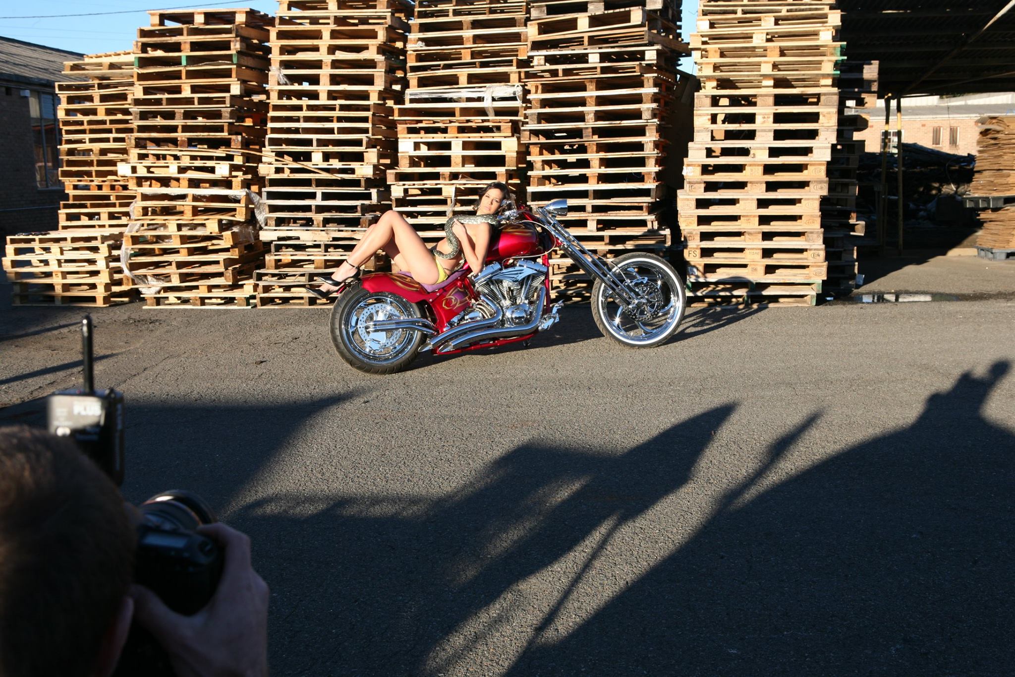 wetnwildmodelsnakebts